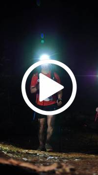 BIB:  <button type="button" onclick="openModal(27561694)" class="btn btn-primary btn-sm float-right" data-toggle="modal" data-target=".modal-high-quality">
                <i class="fa fa-download"></i> Download
                </button>